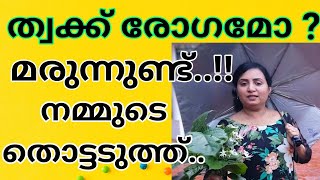 ത്വക്ക് രോഗികൾ ഇൗ വീഡിയോ കാണാതെ പോകരുത്ഇത് ഉപയോഗിച്ച് ഗുണം കിട്ടിയവർ ഒരുപാടുപേർ [upl. by Bridwell]