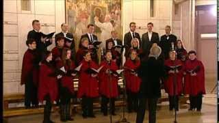 Akademicki Chór ORGANUM Chór CANTATA z Niepołomic 25 grudnia 2013r [upl. by Ahsimek]