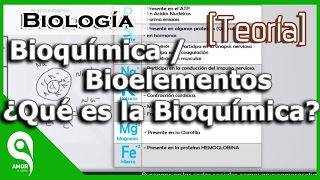 Biología  Bioquímica  Bioelementos ¿Qué es la Bioquímica 14 [upl. by Lienahs618]