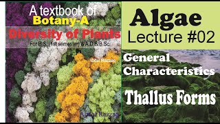 Algae Thallus forms Lecture [upl. by Tamera]