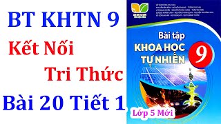 Bài tập Khoa học tự nhiên 9 Kết nối tri thức Bài 20 Tiết 1 [upl. by Swaine114]