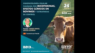 Fisiopatología celular causada por las micotoxinas efectos clínicos en bovinos [upl. by Karoline]