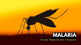 What is Malaria Causes Signs and Symptoms Diagnosis and Treatment [upl. by Nino922]