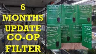 Aquarium Co Op Sponge filter 6 months update [upl. by Ahsiekam]