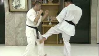 Kyokushin Kumite Image Training Part 2 [upl. by Shandra323]