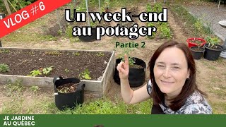 Vlog 6  partie 2 Un WeekEnd Bien Remplie au Potager 🌞 Plantations Tuteurs et Ravageurs 🌱 [upl. by Rowell556]