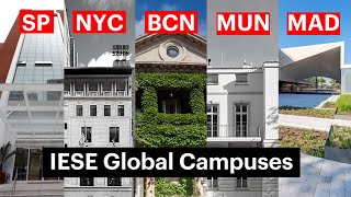 IESE Business School campuses Barcelona Madrid Munich New York São Paulo [upl. by Yatnohs110]