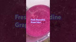 Fresh Muscadine Grape 🍇 Juice 😋😋😋😋 [upl. by Adnohsed]