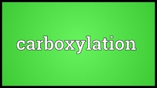 Carboxylation Meaning [upl. by Sapphira596]