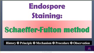 SchaefferFulton method of Endospore staining by Dr Pooja Kakde SRTMUN EnglishMarathi education [upl. by Waiter941]