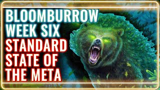 MTG Standard Decks Tier List for Bloomburrow Week 6  MTG Rebellion [upl. by Audrie]