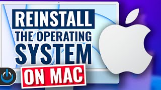 How To Reinstall macOS On ANY Mac [upl. by Belda]