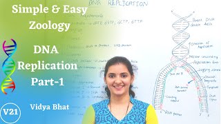 DNA ReplicationPart 1  Substrate  Template  Proteins  Primer  Enzymes  Class12  NEETAIIIMS [upl. by Colombi]