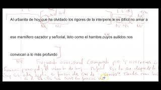 Examen de lengua resuelto selectividad Andalucia 2021 sintaxis y morfología [upl. by Angus]