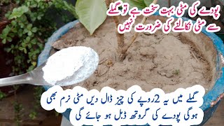 Calsium fertilizer for plants  Soil conditioner  پودوں کی مٹی کو نرم بنانے والی کھاد ۔ [upl. by Hernando]