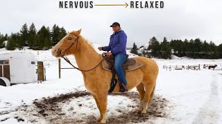 HOW TO TURN A NERVOUS HORSE INTO A RELAXED HORSE [upl. by Risser964]