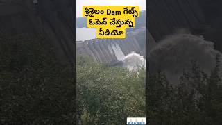 శ్రీశైలం Dam గేట్స్ ఓపెన్ చేస్తున్న వీడియో srisailam dam gates open srisailam nallamalla travel [upl. by Annerb]