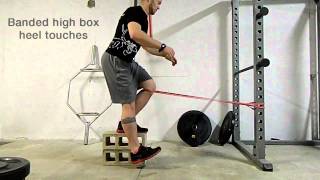 Knee Strengthening Exercises [upl. by Ennovi]