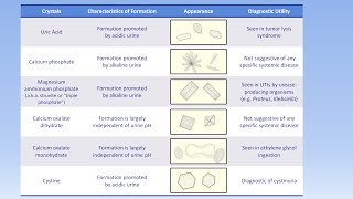 Interpretation of the Urinalysis Part 3  Microscopy and Summary [upl. by Nnep]