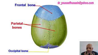 Skull  Norma verticalis  Norma Occipitalis  Norma Frontalis [upl. by Alroy280]