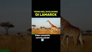 Lamarckismo 🦒🦒🦒teoria evoluzione biologia storia evoluzionismo giraffe collo spiegazione [upl. by Garap603]