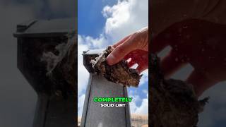 Why You Need to Clean Your Dryer Vent Roof Vent Annually  Preventing Fire Hazards [upl. by Ecyaj175]