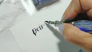 Daveliou Blue Calligraphy Pen Set Demo by Simply Alison [upl. by Yonah]