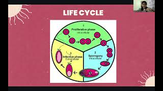 Microsporidiosis [upl. by Repsaj452]