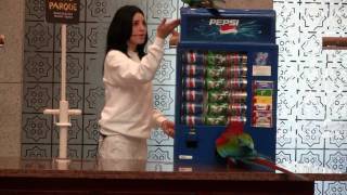 Parrot show at Loro Parque Tenerife [upl. by Noynek]