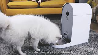 DOGNESS Smart Cam Feeder [upl. by Fiedling]