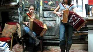 La Noyée  Yann tiersen accordéon diato [upl. by Frannie]