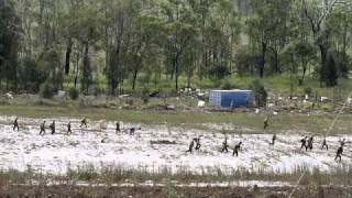 Raw Footage Grantham Queensland Floods Lockyer Valley Ground Zero [upl. by Assillam6]