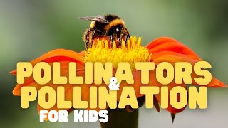 Pollinators and Pollination for Kids  Fun facts about pollination and whos responsible [upl. by Ellicec390]