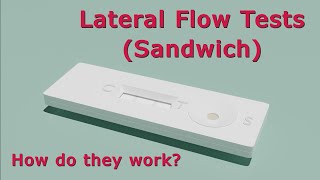 How Do Lateral Flow Tests Work  Animated [upl. by Enaywd581]