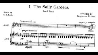 BRITTEN quot The Sally Garden quot piano accompaniment with score contralto voice Irish Lyric Song karaoke [upl. by Nnahaid]