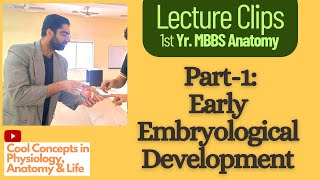 Embryology Anatomy Early Embryological Development Part1  1st Year MBBS [upl. by Christa]