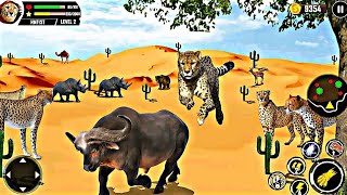 Play cheetah simulator games to kill animals and survival wild cheetah 3D games  Android Gameplay [upl. by Enyak9]