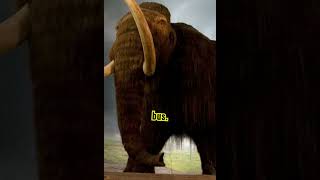 Mammoth Facts Uncovering Historys Giants shorts mammoth creaturesfacts [upl. by Dayir140]