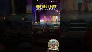 Animal Tales at Busch Gardens Tampa Bay [upl. by Aitnis875]