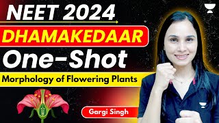 Morphology of Flowering Plants  Dhamakedaar One Shot  NEET 2024  Dr Gargi [upl. by Acinomahs413]