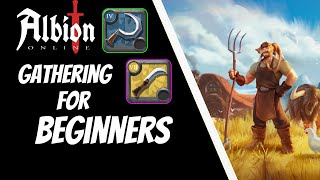 How to Gather TIPS amp Tricks  Albion Online [upl. by Philipson]