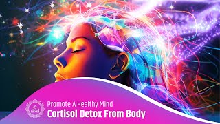 Detox Your Body From Cortisol  Combat Stress Improve Your Mood And Promote A Healthy Mind [upl. by Yer971]