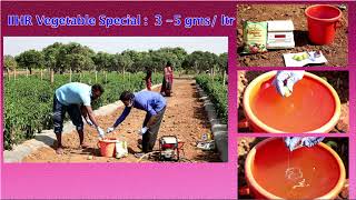 ICARIIHR A Short Documentary on High Yielding F1 Chilli Hybrid Arka Meghana [upl. by Ayocal]