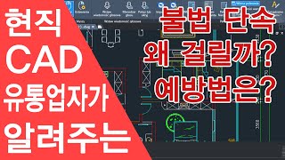 현직 캐드 유통업자가 알려주는 불법 단속 걸리는 이유와 예방법 [upl. by Lehteb]