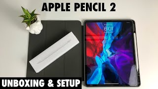 Apple Pencil 2 Unboxing and Setup [upl. by Iliam926]