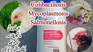 Antibiotic to Treat Salmonellosis Mycoplasmosis and Colibacillosis in Poultry  Dr ARSHAD [upl. by Everson]