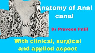 ANATOMY OF ANAL CANAL  APPLIED  SURGICAL ANATOMY [upl. by Sturdivant]