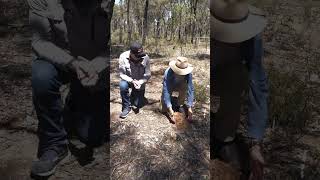 Found an old mud brick in the bush Time to detect for relics Watch The Minelab Show  Wed 730pm [upl. by Adnerad97]