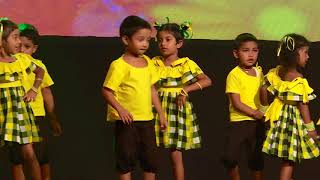 Educare Pre School  2018 Concert  Don Jin Jin [upl. by Lazaro]