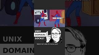 Unix Domain Socket Explained linux programming [upl. by Trisa]